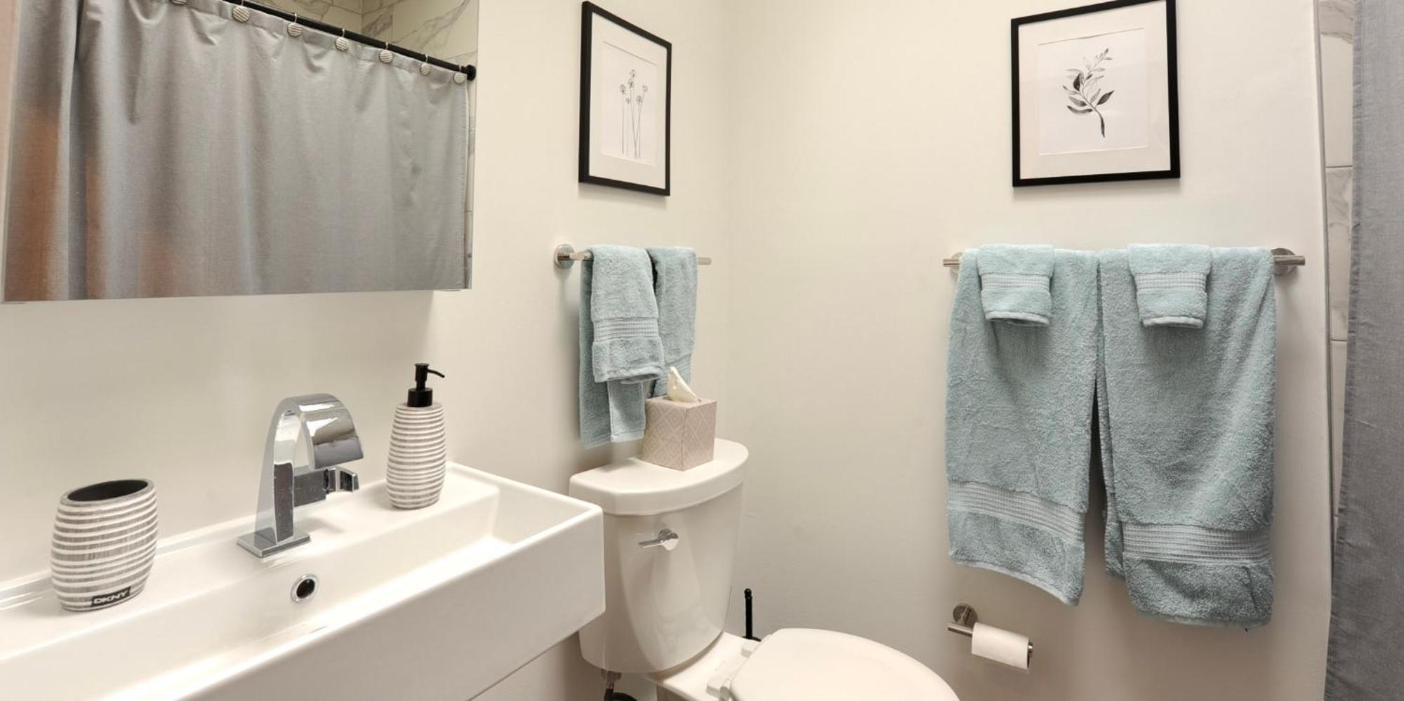Cherry Blossom Townhouse, Easy Dc Access Washington Ngoại thất bức ảnh
